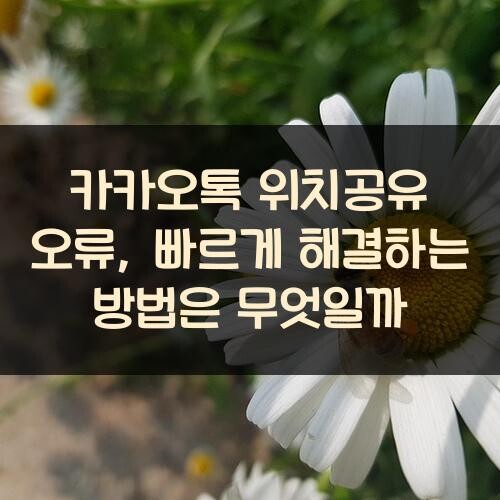 카카오톡 위치공유 오류, 빠르게 해결하는 방법은 무엇일까