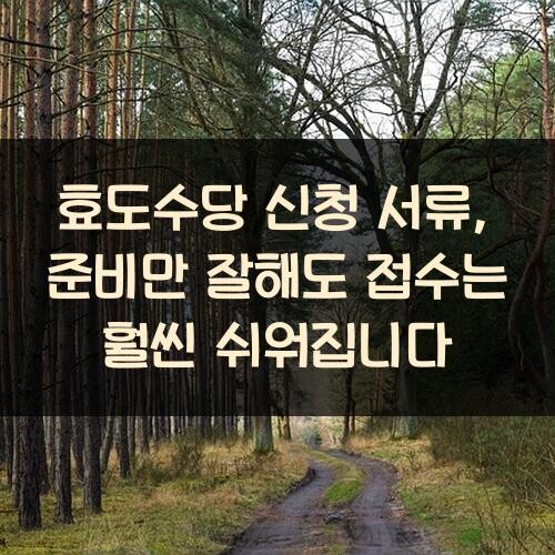 효도수당 신청 서류, 준비만 잘해도 접수는 훨씬 쉬워집니다