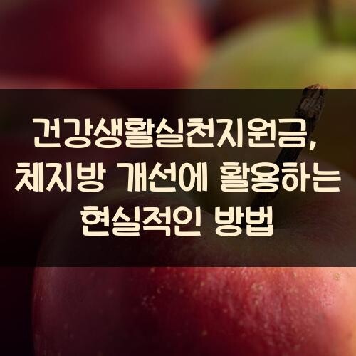 건강생활실천지원금, 체지방 개선에 활용하는 현실적인 방법