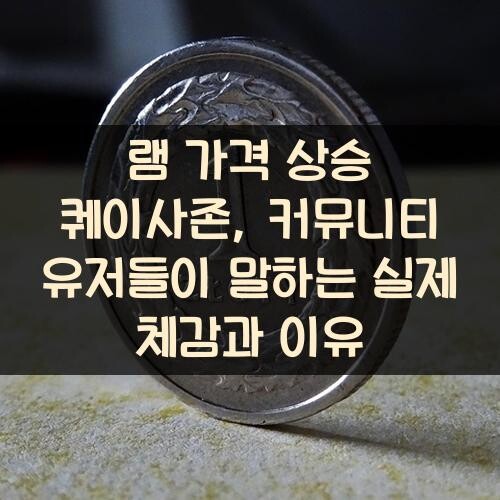 램 가격 상승 퀘이사존, 커뮤니티 유저들이 말하는 실제 체감과 이유