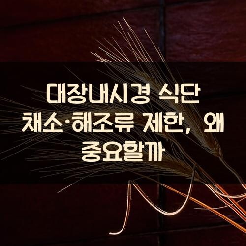 대장내시경 식단 채소·해조류 제한, 왜 중요할까