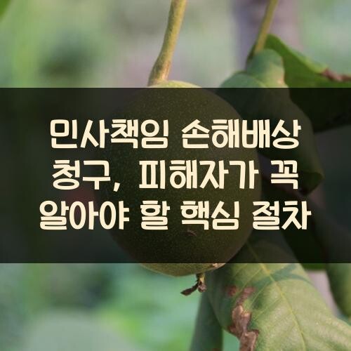 민사책임 손해배상 청구, 피해자가 꼭 알아야 할 핵심 절차