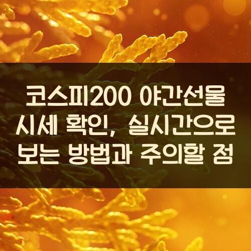 코스피200 야간선물 시세 확인, 실시간으로 보는 방법과 주의할 점
