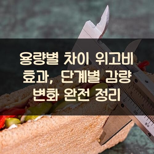 용량별 차이 위고비 효과, 단계별 감량 변화 완전 정리