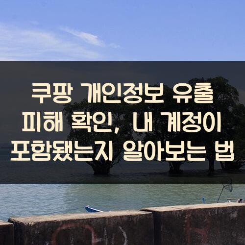 쿠팡 개인정보 유출 피해 확인, 내 계정이 포함됐는지 알아보는 법