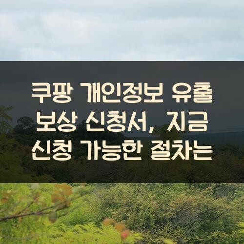 쿠팡 개인정보 유출 보상 신청서, 지금 신청 가능한 절차는?