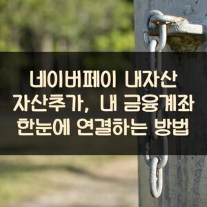 네이버페이 내자산 자산추가, 내 금융계좌 한눈에 연결하는 방법 네이버페이 내자산 자산추가, 내 금융계좌 한눈에 연결하는 방법