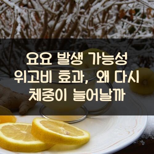 요요 발생 가능성 위고비 효과, 왜 다시 체중이 늘어날까