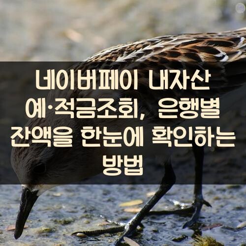 네이버페이 내자산 예·적금조회, 은행별 잔액을 한눈에 확인하는 방법