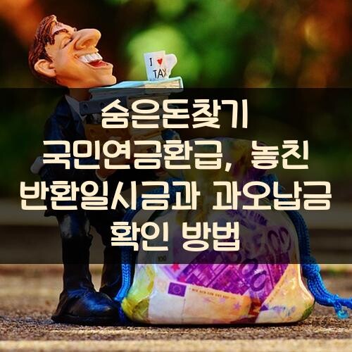 숨은돈찾기 국민연금환급, 놓친 반환일시금과 과오납금 확인 방법