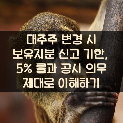 대주주 변경 시 보유지분 신고 기한, 5% 룰과 공시 의무 제대로 이해하기