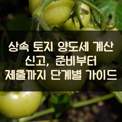 상속 토지 양도세 계산 신고, 준비부터 제출까지 단계별 가이드