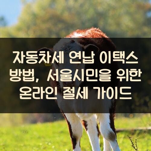 자동차세 연납 이택스 방법, 서울시민을 위한 온라인 절세 가이드