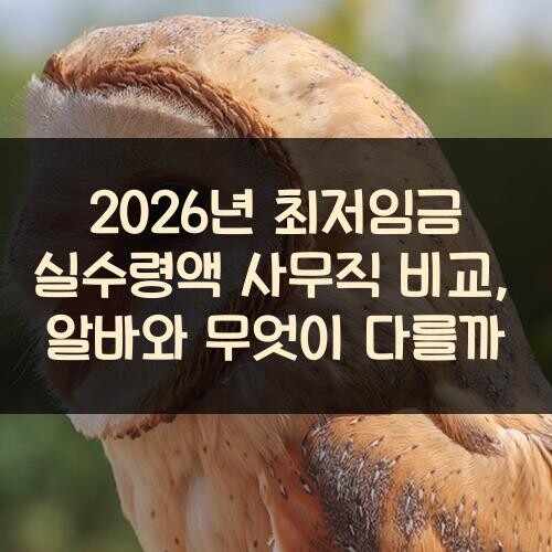 2026년 최저임금 실수령액 사무직 비교, 알바와 무엇이 다를까