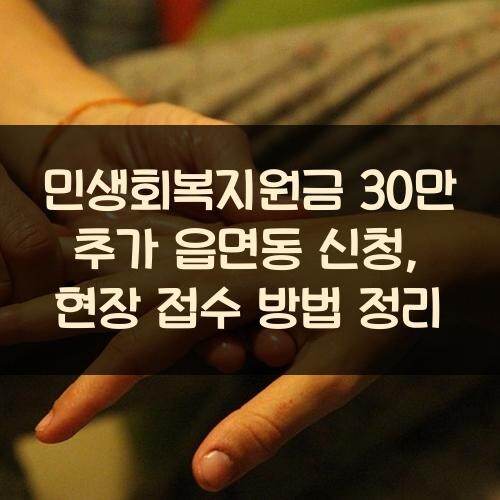 민생회복지원금 30만 추가 읍면동 신청, 현장 접수 방법 정리