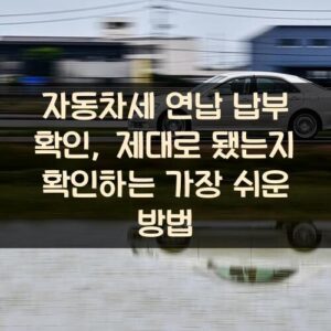 자동차세 연납 납부 확인, 제대로 됐는지 확인하는 가장 쉬운 방법