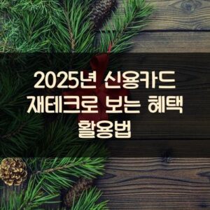 2025년 신용카드 재테크로 보는 혜택 활용법