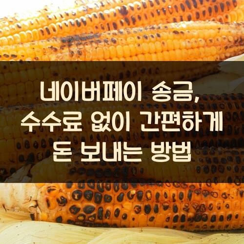 네이버페이 송금, 수수료 없이 간편하게 돈 보내는 방법