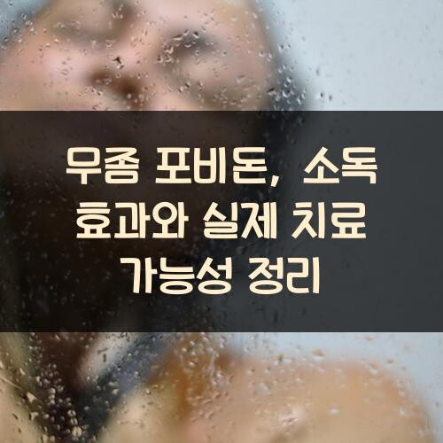 무좀 포비돈, 소독 효과와 실제 치료 가능성 정리