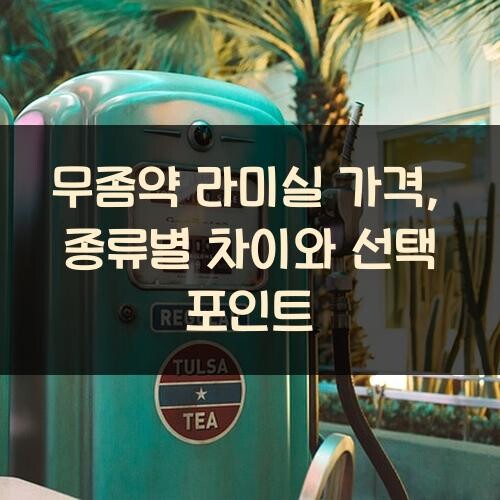 무좀약 라미실 가격, 종류별 차이와 선택 포인트