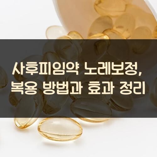 사후피임약 노레보정, 복용 방법과 효과 정리
