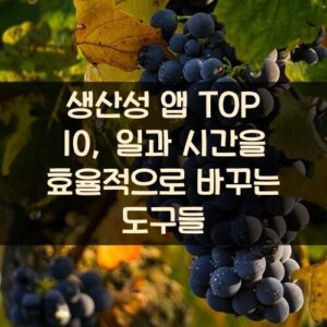 생산성 앱 TOP 10, 일과 시간을 효율적으로 바꾸는 도구들 생산성 앱 TOP 10, 일과 시간을 효율적으로 바꾸는 도구들