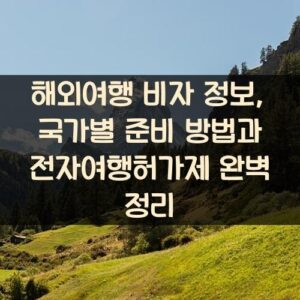 해외여행 비자 정보, 국가별 준비 방법과 전자여행허가제 완벽 정리