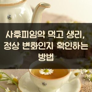사후피임약 먹고 생리, 정상 변화인지 확인하는 방법 사후피임약 먹고 생리, 정상 변화인지 확인하는 방법
