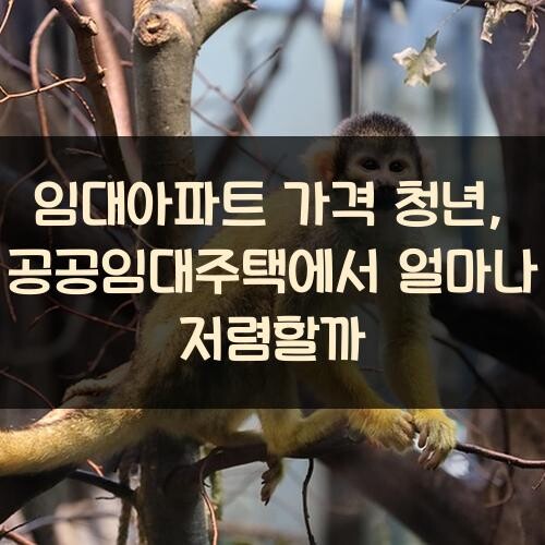임대아파트 가격 청년, 공공임대주택에서 얼마나 저렴할까?