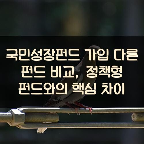 국민성장펀드 가입 다른 펀드 비교, 정책형 펀드와의 핵심 차이