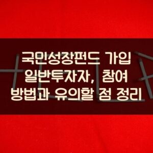 국민성장펀드 가입 일반투자자, 참여 방법과 유의할 점 정리