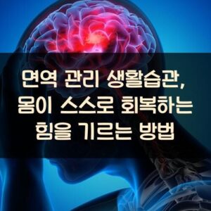 면역 관리 생활습관, 몸이 스스로 회복하는 힘을 기르는 방법 면역 관리 생활습관, 몸이 스스로 회복하는 힘을 기르는 방법