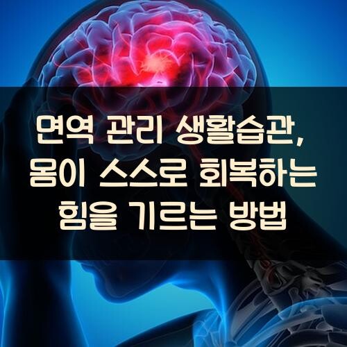 면역 관리 생활습관, 몸이 스스로 회복하는 힘을 기르는 방법