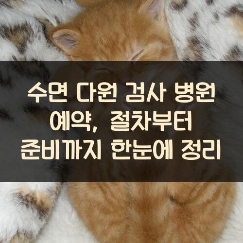 수면 다원 검사 병원 예약, 절차부터 준비까지 한눈에 정리