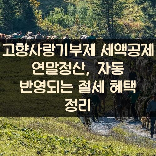 고향사랑기부제 세액공제 연말정산, 자동 반영되는 절세 혜택 정리