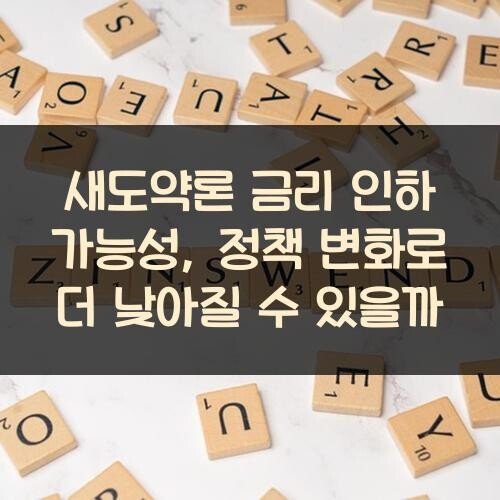 새도약론 금리 인하 가능성, 정책 변화로 더 낮아질 수 있을까