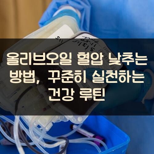 올리브오일 혈압 낮추는 방법, 꾸준히 실천하는 건강 루틴